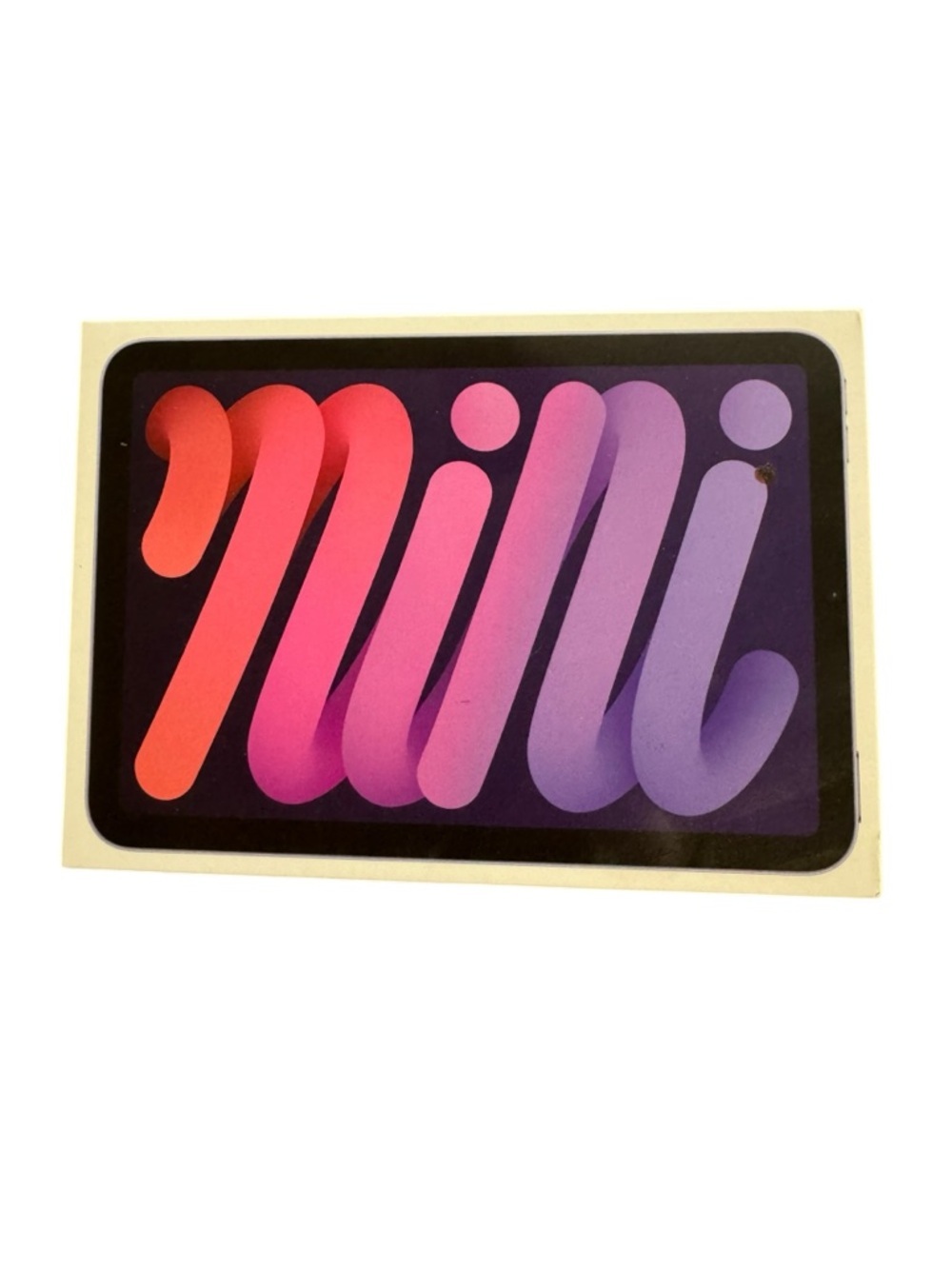 iPad Mini 6th Generation BOX ONLY
